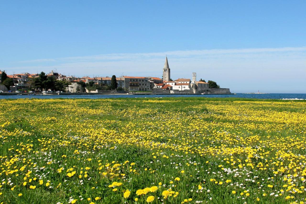 Villa Vita In Porec - Haus Fuer 6-8 Personen Kastelir Ngoại thất bức ảnh